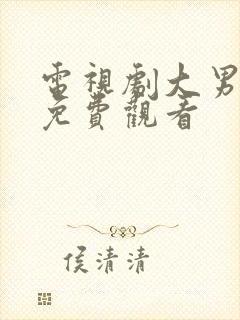 电视剧大男当婚免费观看封面