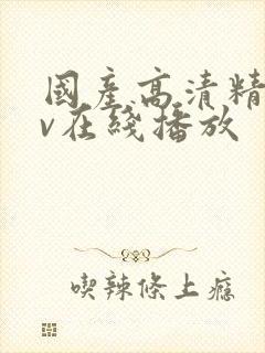 国产高清精品av在线播放