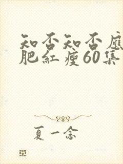 知否知否应是绿肥红瘦60集