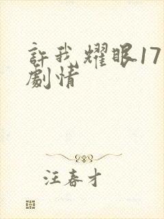 许我耀眼17集剧情