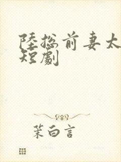 陆总前妻太傲娇短剧封面