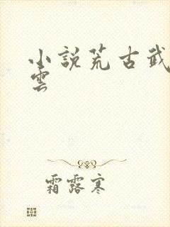 小说荒古武神萧云