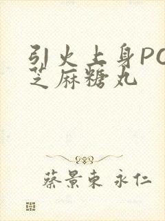 引火上身POP芝麻糖丸