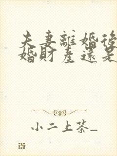 夫妻离婚后再复婚财产还是夫妻共同的吗