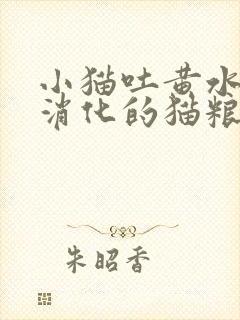 小猫吐黄水和未消化的猫粮封面