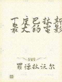 丁度巴拉斯尺度最大的电影封面