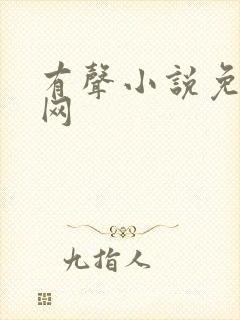 有声小说免费听网封面