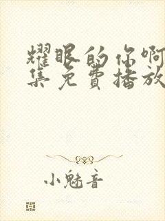 耀眼的你啊40集免费播放