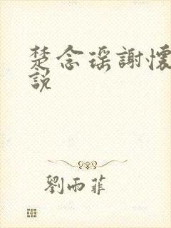 楚念瑶谢怀清小说