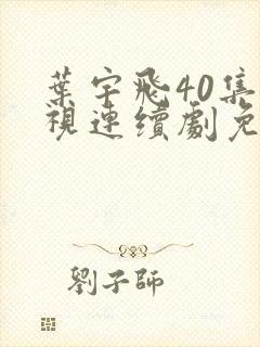 叶宇飞40集电视连续剧免费观看