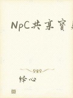 NpC共享宝贝
