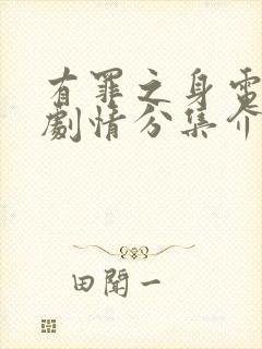 有罪之身电视剧剧情分集介绍