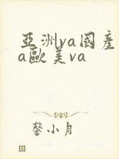 亚洲va国产va欧美va
