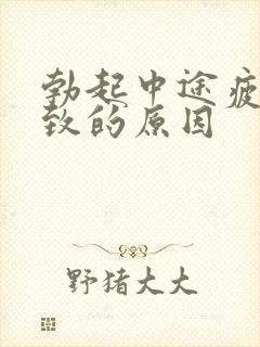 勃起中途疲软导致的原因封面