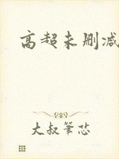 高超未删减版