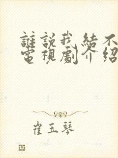 谁说我结不了婚电视剧介绍