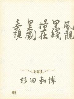 秦昊扫黑风暴电视剧在线观看免费完整版