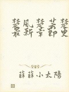 楚风楚芸楚鸿飞最新章节更新免费阅读