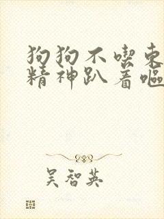 狗狗不吃东西没精神趴着呕吐