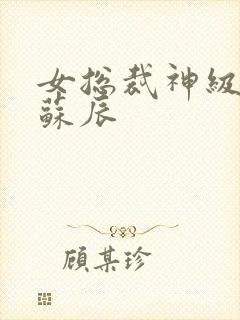 女总裁神级保镖苏辰