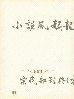 小说风起龙城