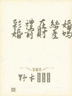 彩礼在结婚前算婚前财产吗