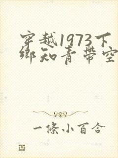 穿越1973下乡知青带空间