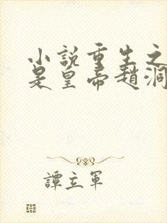 小说重生之老子是皇帝赵洞庭