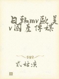 日韩mv欧美mv国产传媒封面