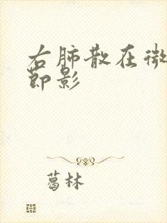 右肺散在微小结节影封面