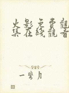 火影免费观看全集在线观看高清