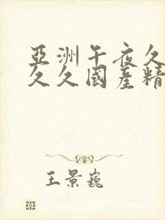 亚洲午夜久久久久久国产精品