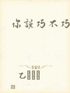 你说巧不巧封面