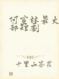 何宣林最火的三部短剧