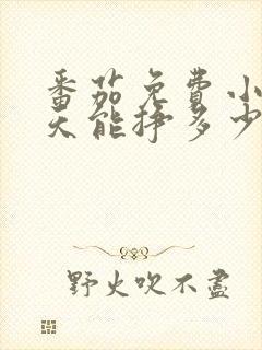 番茄免费小说一天能挣多少钱