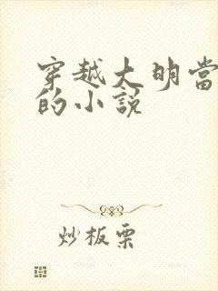 穿越大明当崇祯的小说