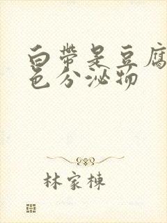 白带是豆腐渣黄色分泌物