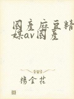 国产麻豆精品传媒av国产