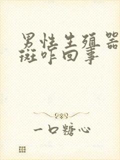 男性生殖器有红斑咋回事