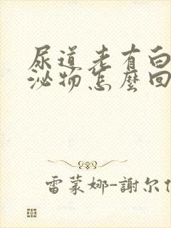 尿道老有白色分泌物怎么回事