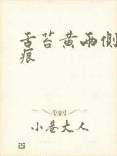 舌苔黄两侧有齿痕