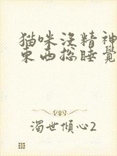 猫咪没精神不吃东西总睡觉还呕吐封面