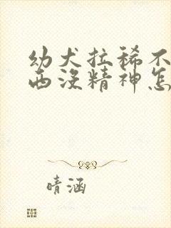 幼犬拉稀不吃东西没精神怎么办