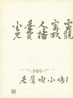 小巷人家电视剧免费播放观看