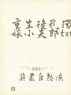 重生后我独宠替嫁小夫郎txt