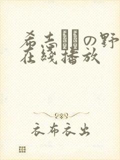 希志あいの野外在线播放