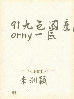 91九色国产porny一区