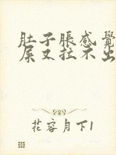 肚子胀感觉想拉屎又拉不出来怎么回事