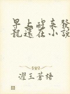 早上醒来发现巨龙还在小说