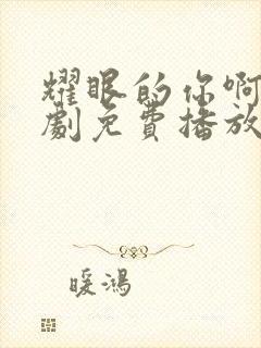 耀眼的你啊电视剧免费播放全集